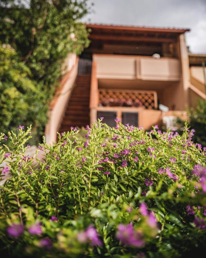 פולה Purple House, 30M To Beach מראה חיצוני תמונה